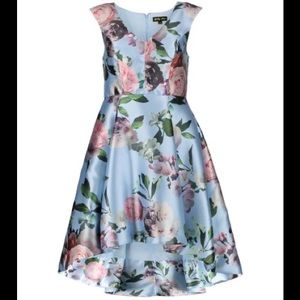 Vici Powder Blue Floral Fit-and-Flare Dress